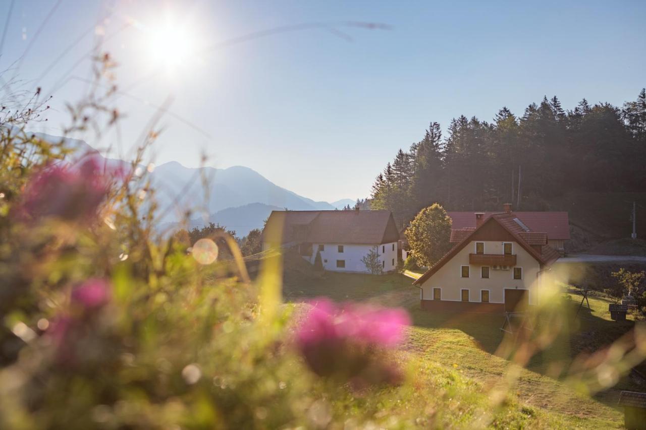 Pri Plasajtarju Apartamento Podbrdo Exterior foto