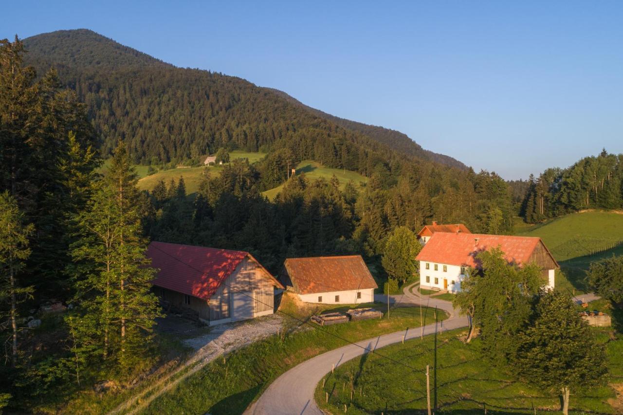 Pri Plasajtarju Apartamento Podbrdo Exterior foto