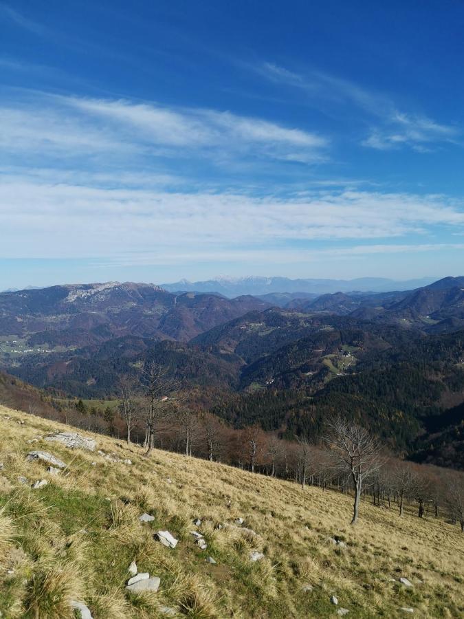 Pri Plasajtarju Apartamento Podbrdo Exterior foto